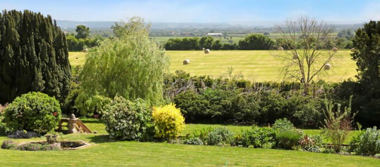 Hurds Hill HHG 1024x450 1 768x338